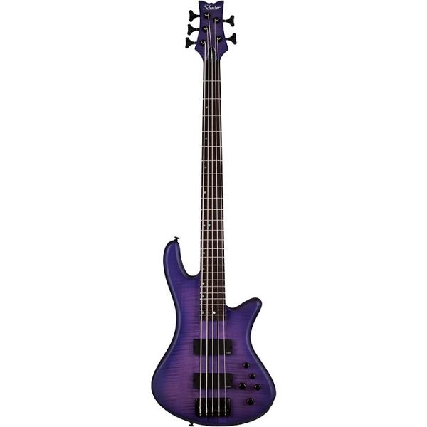 Bass Transparent Purple Burst